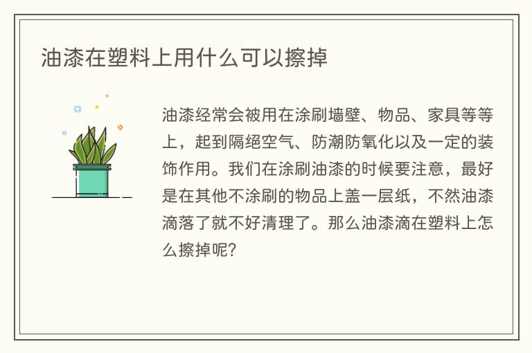 油漆在塑料上用什么可以擦掉